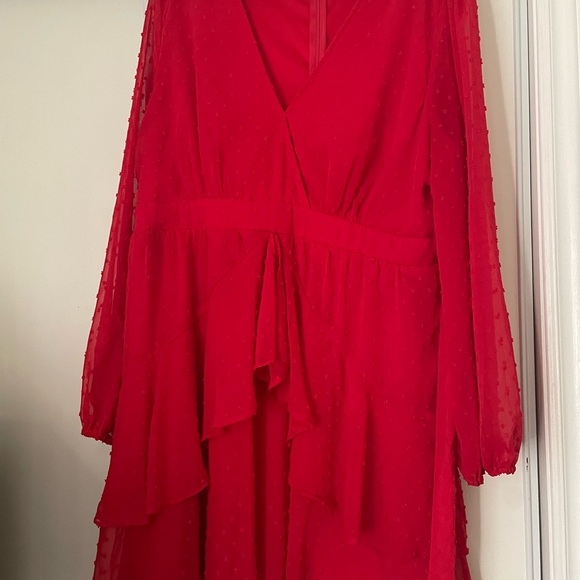 Red Skater Dress - Picture 3 of 5